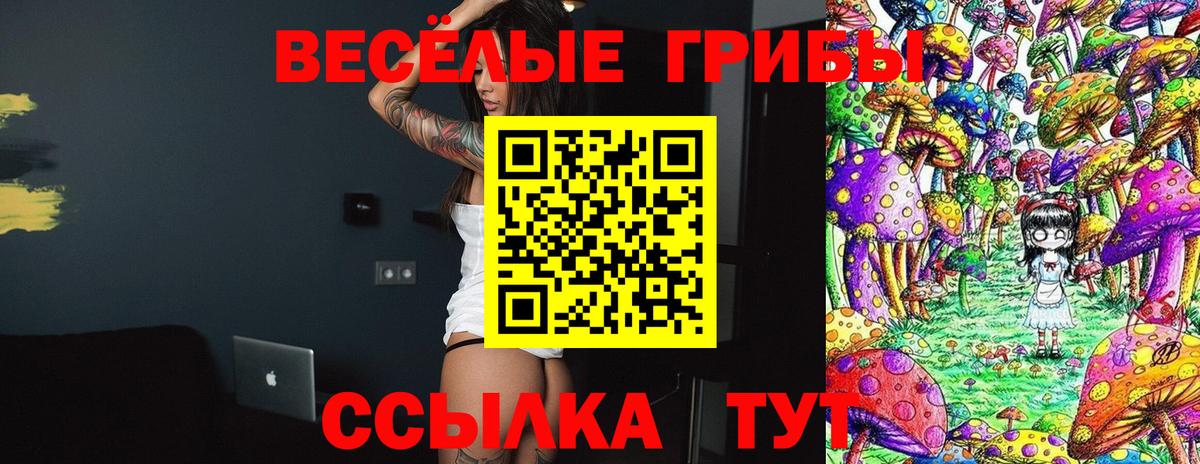 Урюпинск  Псилоцибиновые грибы прущие грибы  Псилоцибиновые грибы прущие грибы  Вход с VPN 