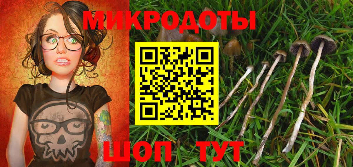 Псилоцибиновые грибы мухоморы Урюпинск